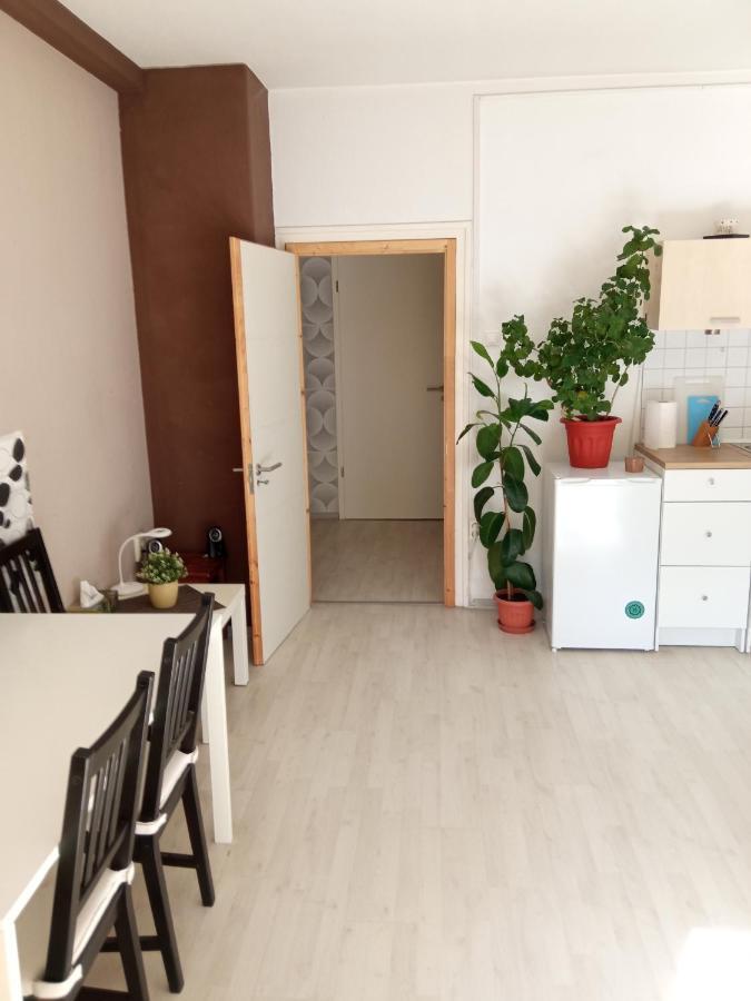 Free Parking, Balcony, Near To City Park 布达佩斯 外观 照片