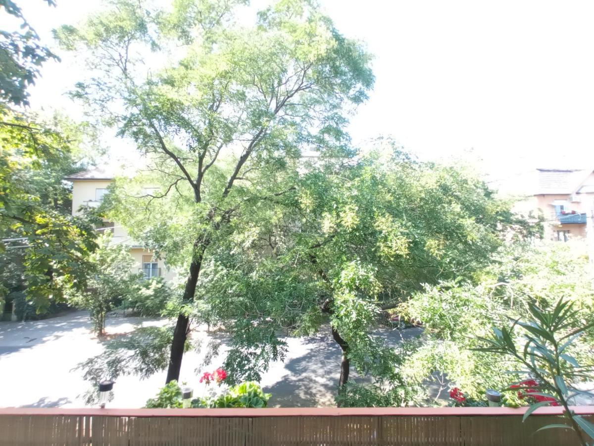 Free Parking, Balcony, Near To City Park 布达佩斯 外观 照片