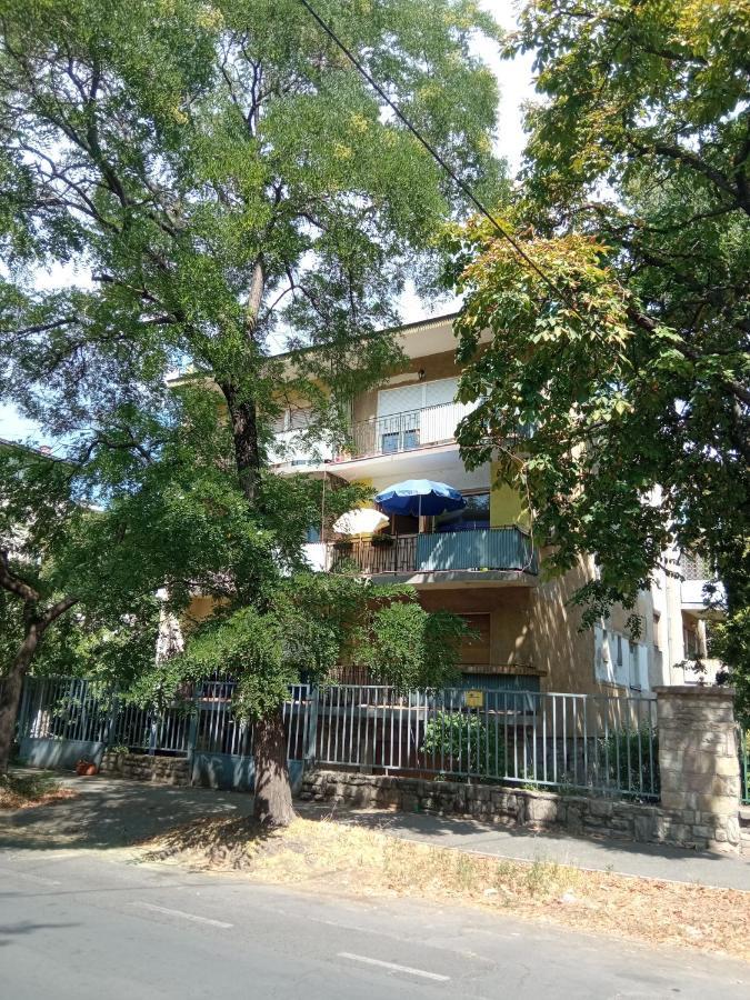 Free Parking, Balcony, Near To City Park 布达佩斯 外观 照片