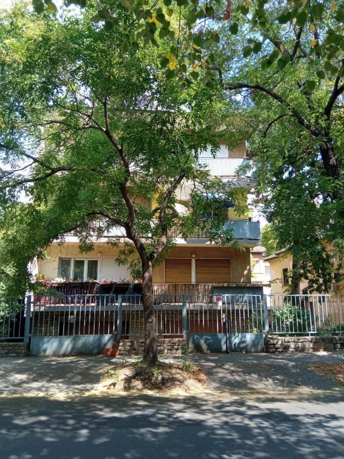 Free Parking, Balcony, Near To City Park 布达佩斯 外观 照片